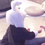 34张搞怪可爱萌娃情侣头像 高清好看的一对双人头像