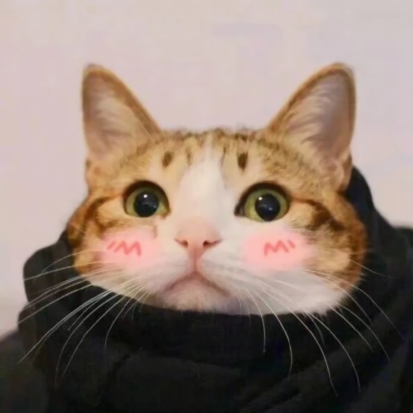 14张搞怪猫狗情侣头像 搞笑又可爱的高清素材