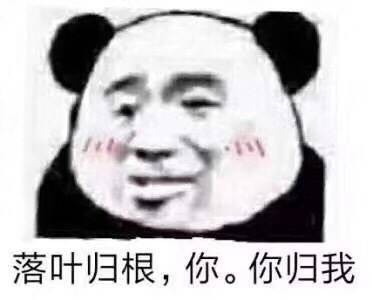 1月11日斗图表情包精选合集