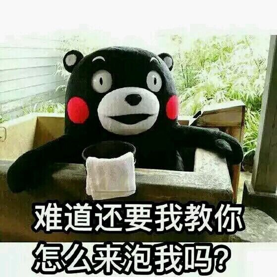 火遍全网的日本国宝熊本熊表情包合集