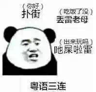刷爆聊天框的熊猫头斗图表情包，这次的合集太全了