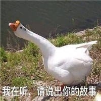 2月9日斗图表情包精选合集