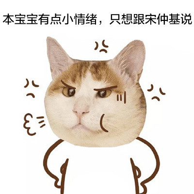 猫头宋仲基可爱表情包合集