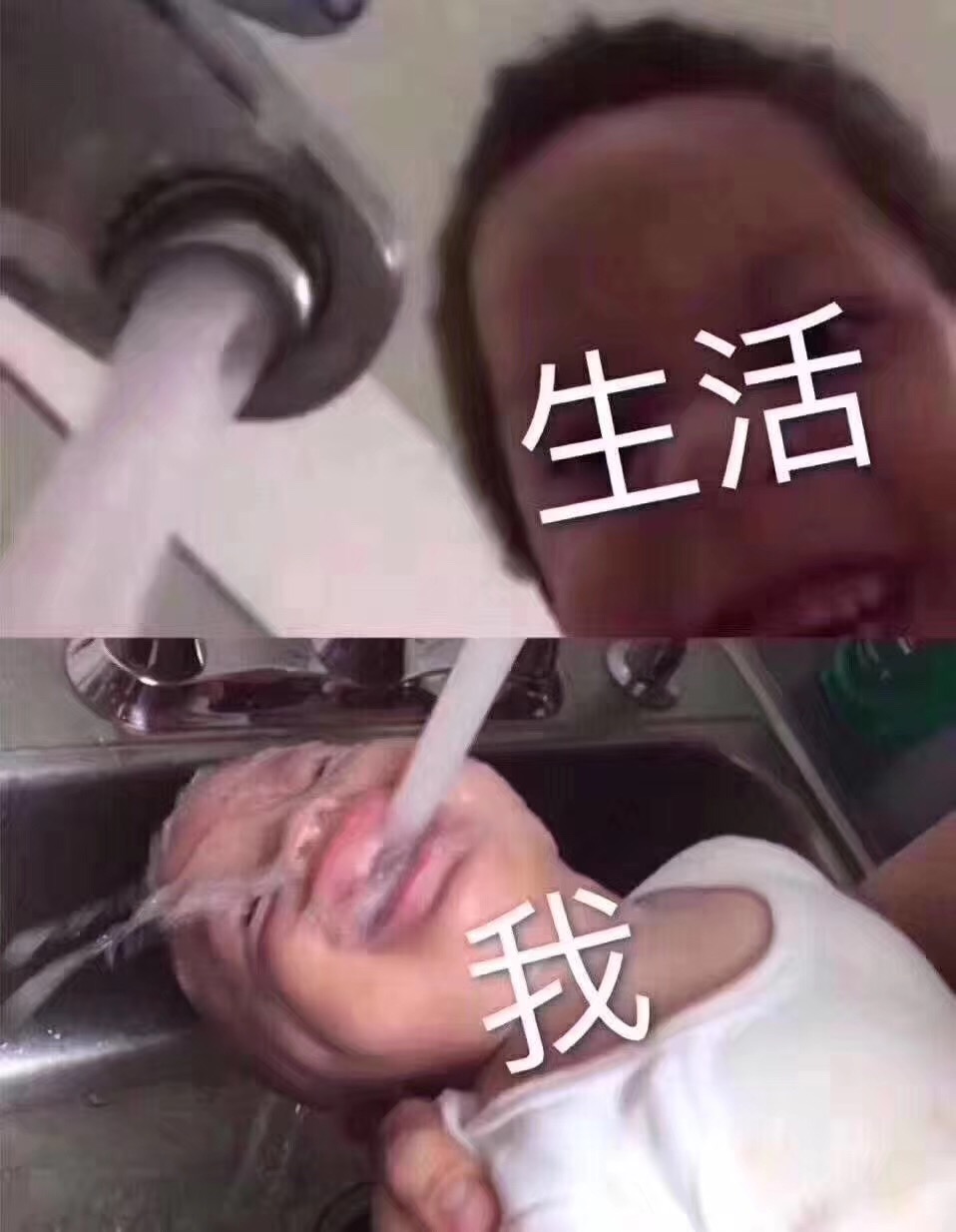 11月28日热门斗图表情包合集来了