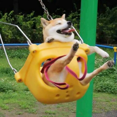 24张搞怪可爱情侣搞笑头像合集 适合情侣一起用的趣味头像素材