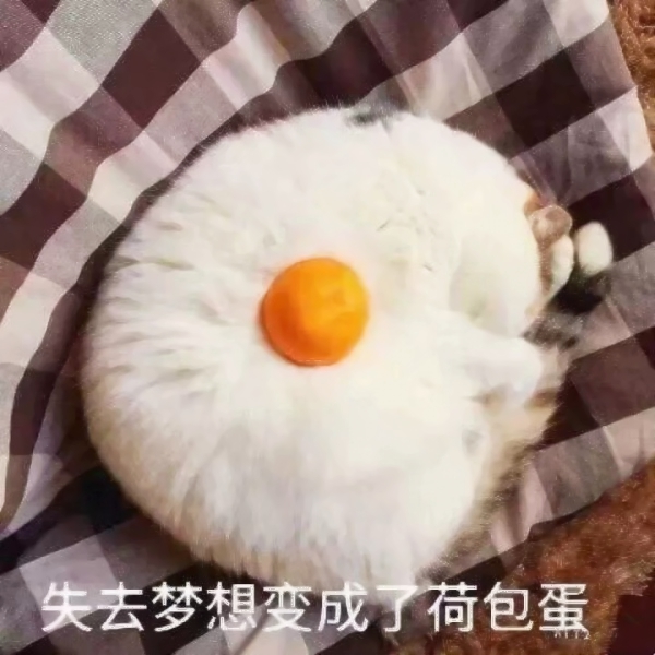 14张搞怪猫狗情侣头像 搞笑又可爱的高清素材