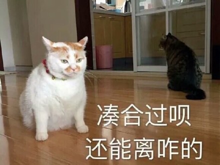 笑到停不下来！这组乱七八糟的表情包太上头了