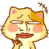 超萌木木猫表情包合集，斗图必备！