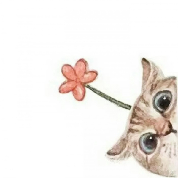 微信情侣头像萌系！36张超清卡通一对两张头像合集