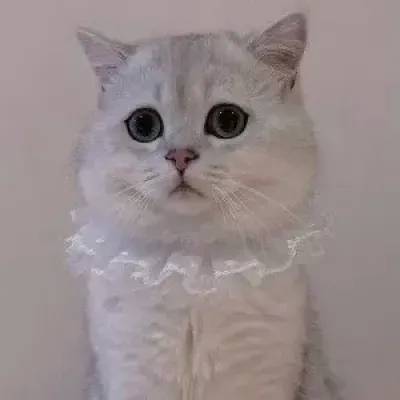 不想公开的单人情侣头像一人一张 20组合集来了