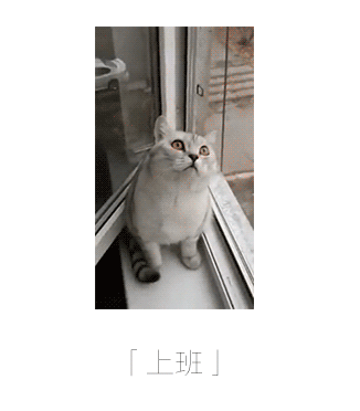打工人必看！全套上班状态表情包，最后一张狠狠共情了