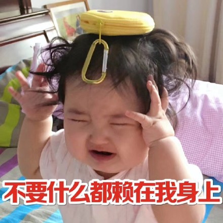 11月6日热门表情包合集来了