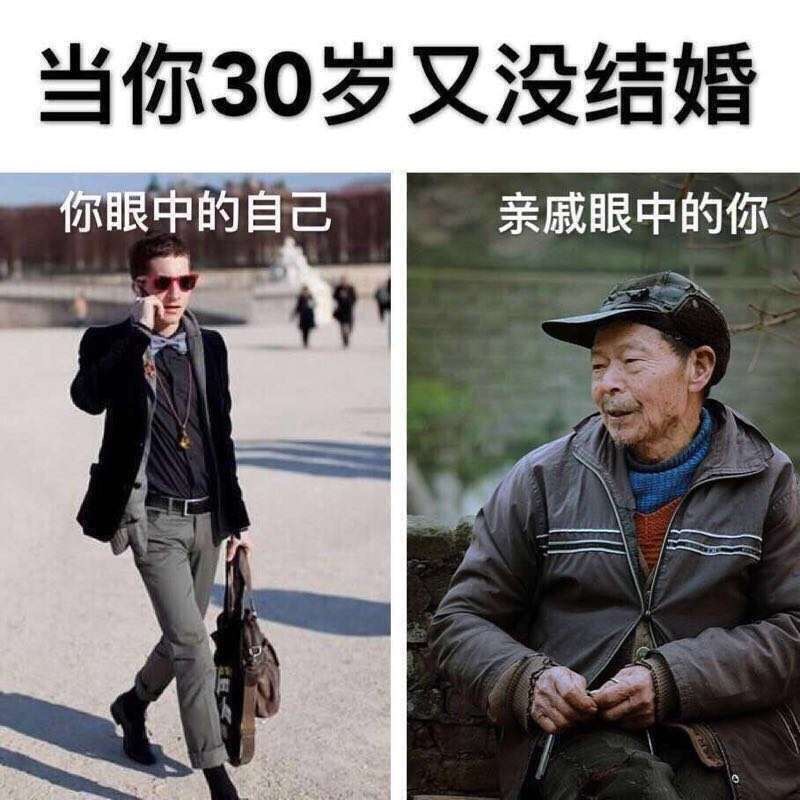 2月21日的表情包原图合集来啦