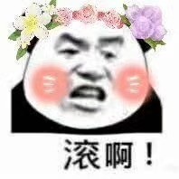 9月24日热门斗图表情合集来啦