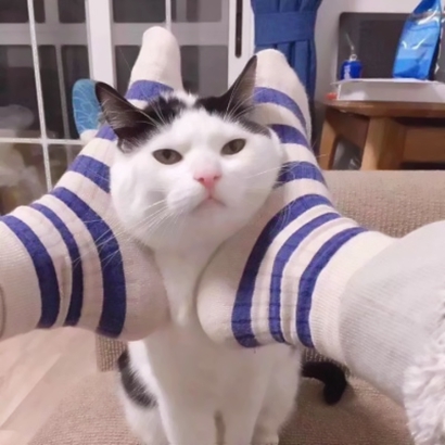 24张搞怪可爱情侣搞笑头像合集 适合情侣一起用的趣味头像素材