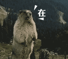 土拨鼠呐喊表情包 斗图必备素材合集