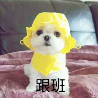 笑到跺脚的搞怪情侣头像！18张高清可爱又好笑的情头合集