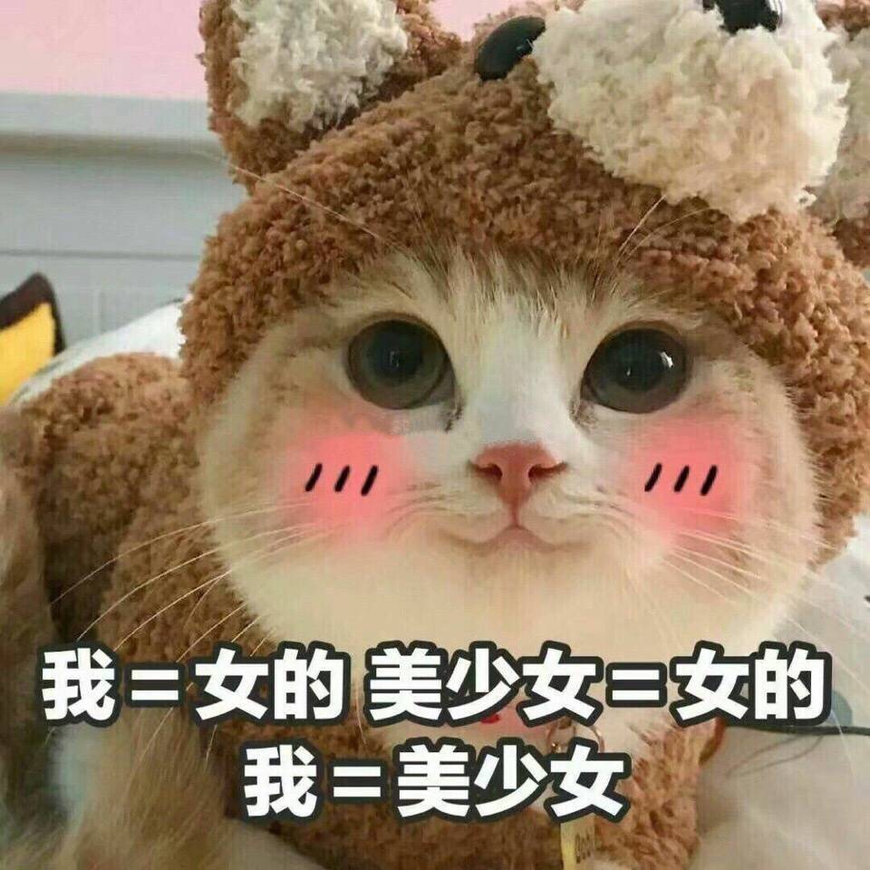 超实用斗图表情合集整理好了，速存