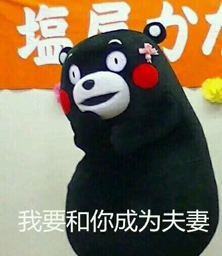 火遍全网的日本国宝熊本熊表情包合集