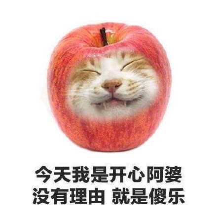 这些果蔬沙雕表情包，斗图绝对好用