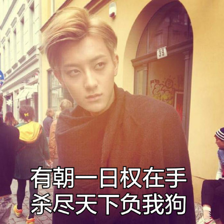 wuli韬韬表情包合集 黄子韬明星聊天表情动图