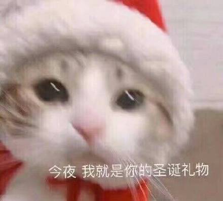 12月22日表情包原图合集来啦