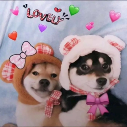 搞怪又可爱！16组沙雕情侣头像来啦