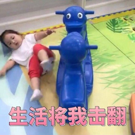11月15日热门斗图表情包合集来了