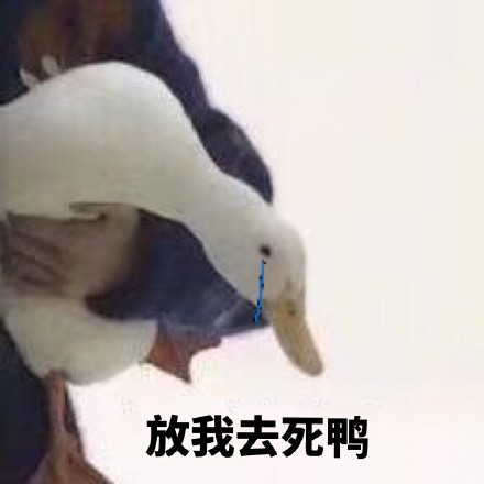 8月24日斗图表情包精选合集