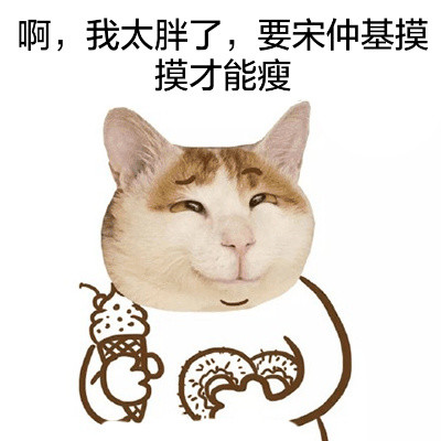 猫头宋仲基可爱表情包合集