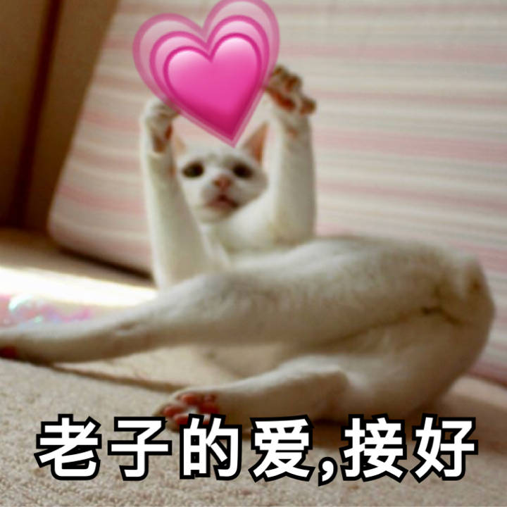 最近聊天斗图没素材？这份精选表情包快收好