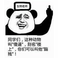 8月8日斗图表情包精选合集