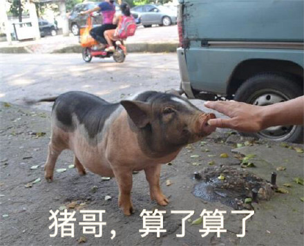 “XX哥，算了算了” 这套表情包火了