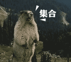 土拨鼠呐喊表情包 斗图必备素材合集