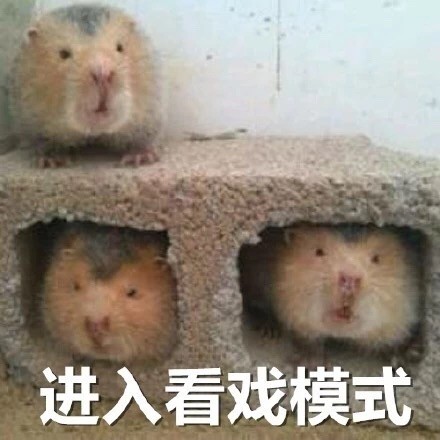 9月26日斗图表情包合集更新