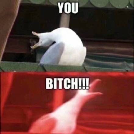 7月26日斗图表情包原图合集来啦