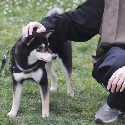 “女友不是人”系列情侣头像 高清16张合集