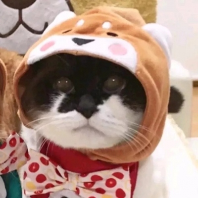 8组一左一右的可爱情侣头像，快和对象安排上