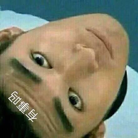 10月29日斗图表情包合集来啦