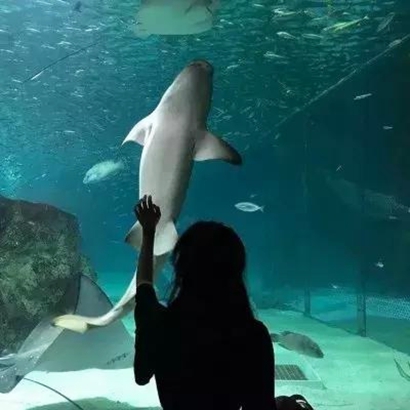 16组高清真人情侣头像 一男一女搭配又帅又好看