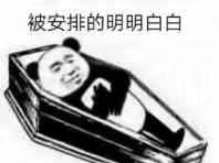火出圈的棺材系列表情包，打工人斗图必备
