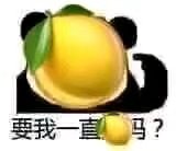 11月28日斗图表情包合集来啦