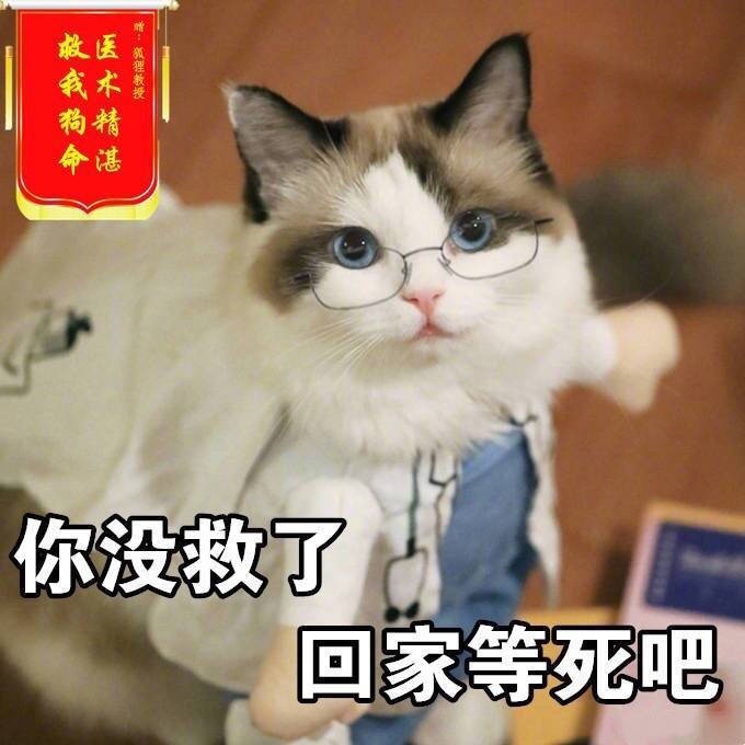 整理好的斗图表情包合集来了
