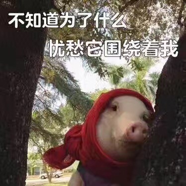 7月28日热门表情包合集来了