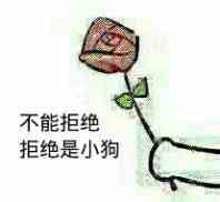送花花表情包来啦！不接受就当小狗哦
