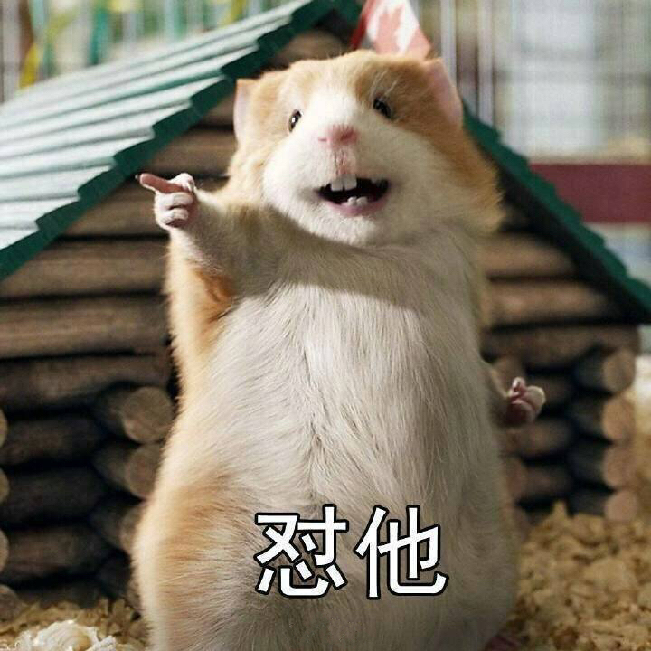 站立小老鼠喊你怼人！这套表情包太好用了
