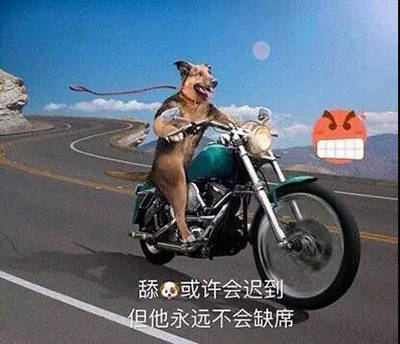 聊天斗图必备！这套舔狗表情包直接封神