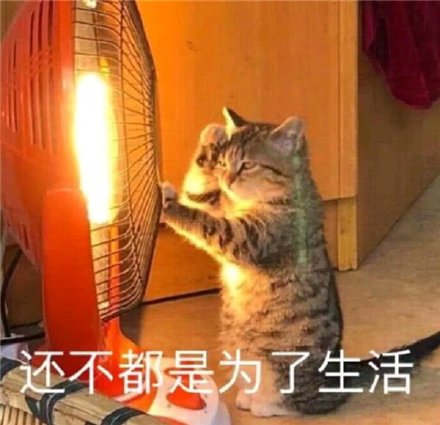 1月13日斗图表情包合集来啦