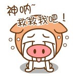 帽帽猪“滚粗”表情包来啦！