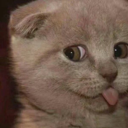 3月3日斗图表情包合集来啦